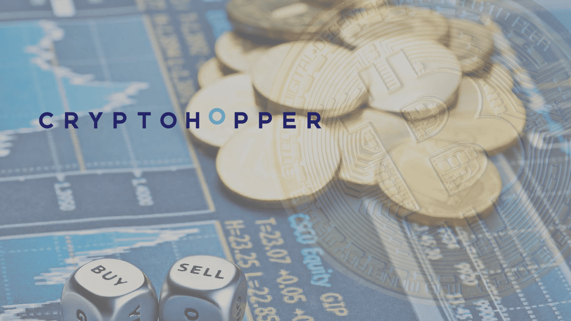 Follow & Copy Experienced Crypto Traders in Cryptohopper ...