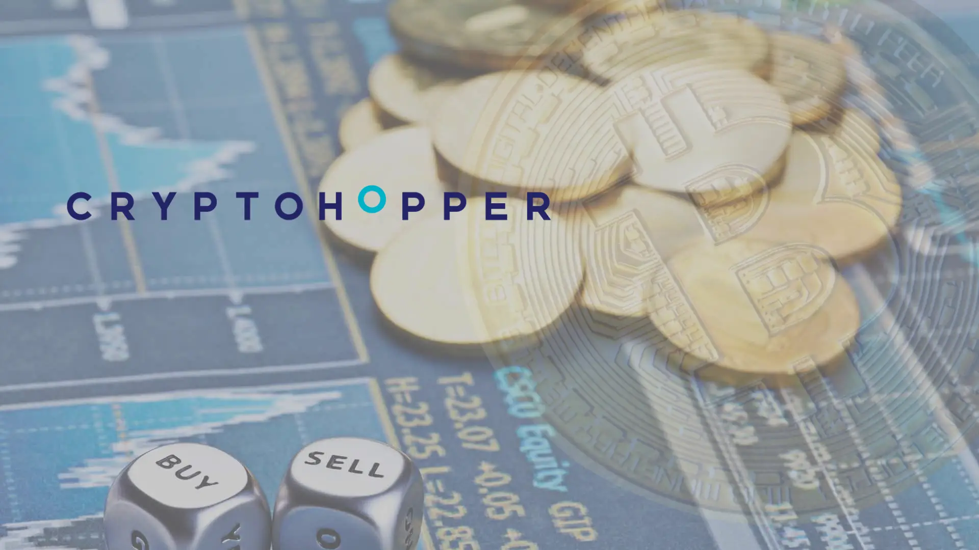 Follow and Copy Experienced Crypto Traders in the Cryptohopper Marketplace