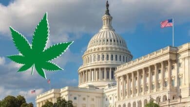 Photo of Cannabis Legalization Can Immensely Benefit Government