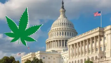 Photo of Cannabis Legalization Can Immensely Benefit Government