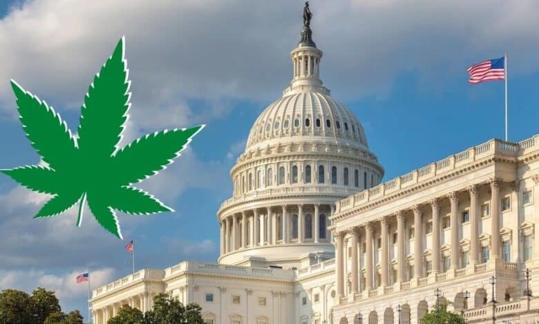 Cannabis Legalization Can Immensely Benefit Government