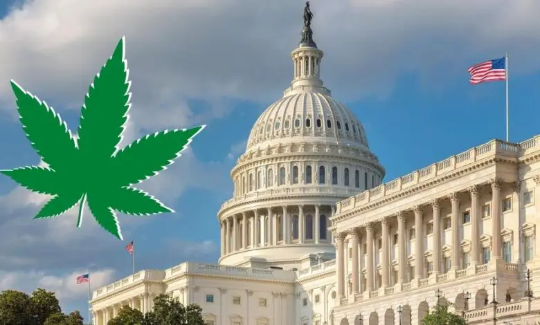 Cannabis Legalization Can Immensely Benefit Government